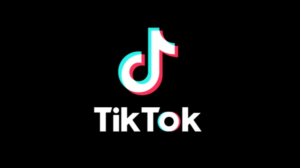 Basic TikTok Comments